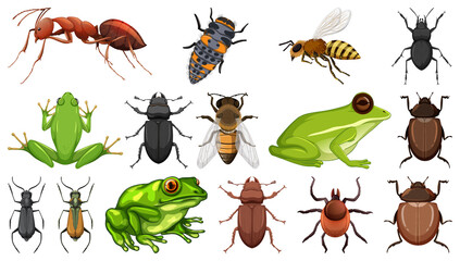 Different insects collection isolated on white background