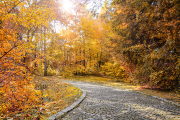 Obraz premium Pathway in beautiful autumn park on sunny day