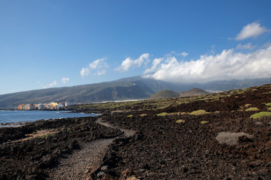 Coastal path crossing the volcanic malpais surrounded by the rough land with endemic flora and the Atlantic Ocean and heading towards the small Puertito de Guimar town, Tenerife, Canary Islands, Spain
