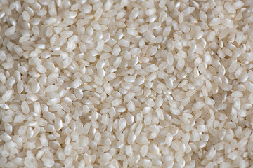 Small and round short-grained white rice laid flat, dry and fresh popular cereal, staple food for over half the world's population, prepared as main or side dish, background macro shot with copy space