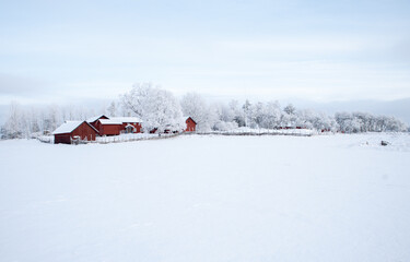 Red house in a wintry landscape