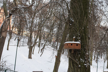 Bird feeder in the city park in winter.