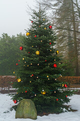 decorated christmas tree