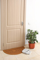Brown mat with slippers and houseplant near light wooden door