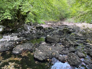 The course of the river Kupica directly below the mountain karst spring (Tok rijeke Kupice neposredno pod goranskim krškim vrelom, Mala Lešnica - Gorski kotar, Hrvatska)