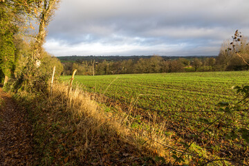 Fototapeta premium Paysage de bocage normand autour du village de Cerisy-Belle-Etoile (Normandie, France)