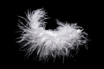 Obraz premium bird feather on a black background