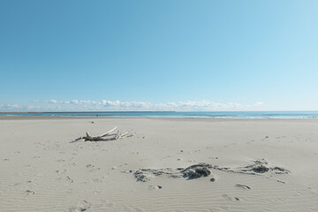 冬の青空と砂浜と流木　茨城県大洗町　12月