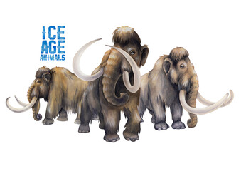 Composition of a three watercolor walking mammoths in a front and side views.