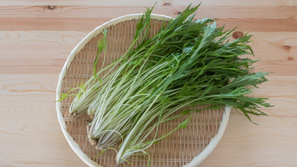 水菜”Mizuna green””Japanese brassica””potherb masterd”