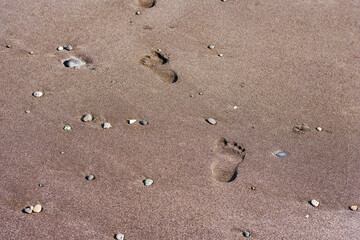footprint on sand at the beach background