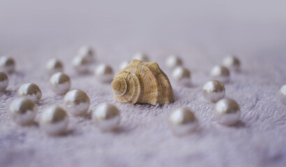many white pearl with big seashell on white fur cloth surface