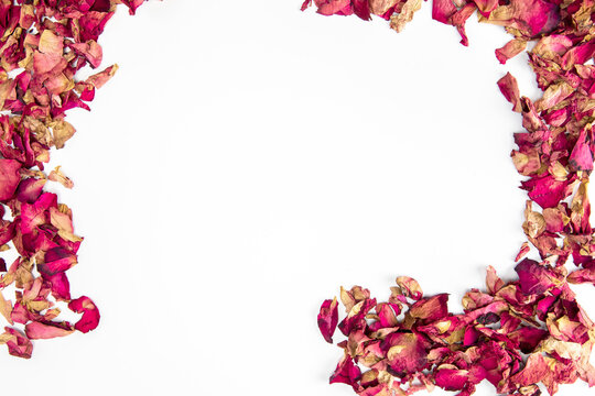 Close up shot of Dry rose petals background border,edge isolated on white background with copy space romantic wedding, Valentines Day design