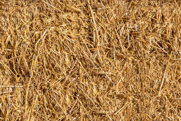 A bale of dry straw as a natural background. Texture and pattern of dried grass.
