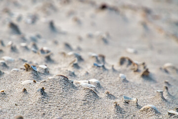 Wave pattern on the beach of the Baltic Sea. The waves leave a pattern in the sand.
