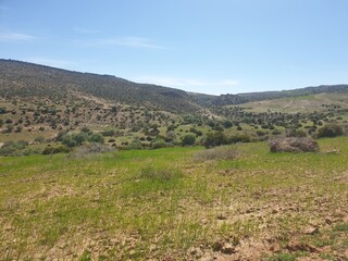 Beautiful landscapes in the spring, the city of Tiaret, Algeria