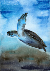 Obraz premium Watercolor illustration of a colorful sea turtle swimming in the vivid turquoise sea 