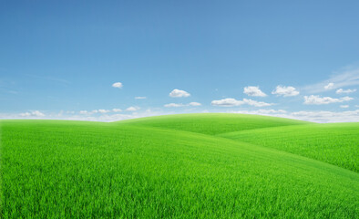 panorama of green meadows with beutyfull blue sky and white clouds in day ligth for background.