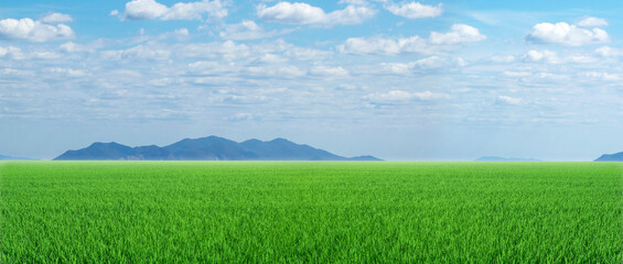 panorama of green meadows with beutyfull blue sky and white clouds in day ligth for background.