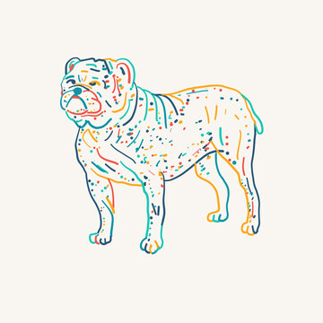 Bulldog. Vintage style sketch for your design