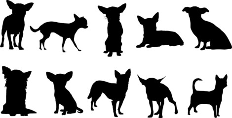 Chihuahua Silhouette Dog Bundle SVG