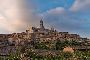 Fototapeta premium Blick auf die Altstadt von Siena in der Toskana in Italien