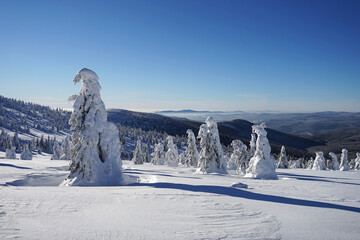 Beautiful winter landscape scenery in snow covered Giant Mountains, frozen trees, blue sky and...