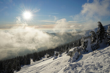 Panoramic winter landscape before sunset and above clouds, beautiful Krkonose Giant Mountains,...