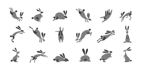 Funny Rabbits collection for your design