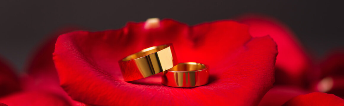close up of golden wedding rings on red rose petals, banner.