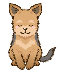 おじぎするヨークシャーテリア