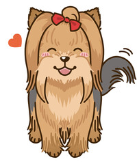 なつくヨークシャーテリア（フルコート）