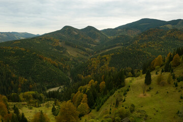 Obraz premium Aerial view of beautiful mountain forest on autumn day