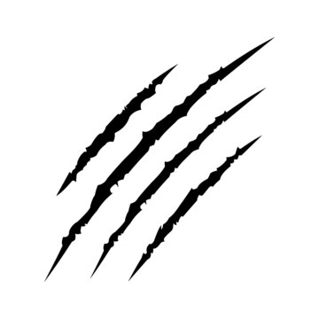 Scratch claws vector