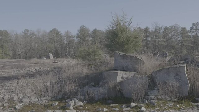 V-Log Rocks and Trees (Log Profile)