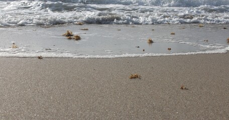 close up of beach waves on the shore