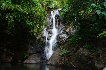 photo of waterfall in nature