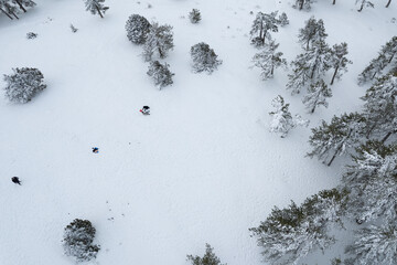 Drone aerial scenery treetops covered in snow in snowy forest.