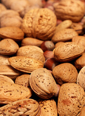 Almond nuts and hazelnut background. Almond with shell. Selective focus