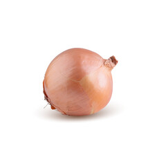 Fresh onion bulbs isolated on white background.