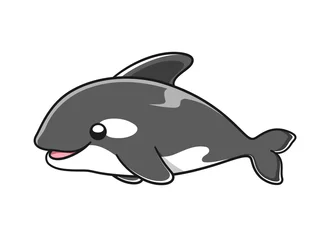 Tuinposter Cute Orca whale vector illustration. Killer whale cartoon clipart. © Aletheia Shade