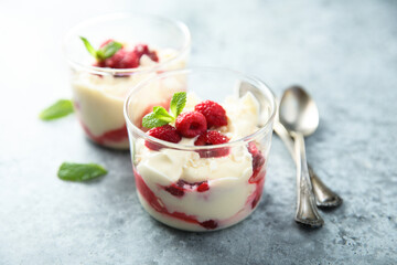Homemade meringue trifle with custard and raspberries