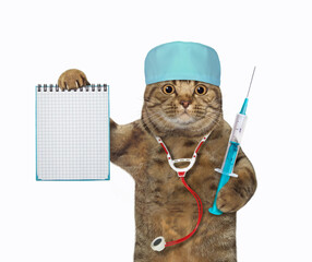 A beige cat doctor in a medical hat with a stethoscope holds a syringe and a blank notebook. White background. Isolated. - 477628508