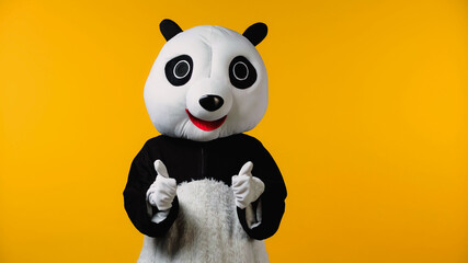 person in happy panda bear costume showing thumbs up isolated on yellow.