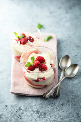 Homemade meringue trifle with custard and raspberries