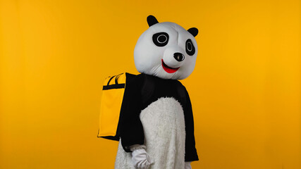 person in panda bear costume with backpack isolated on yellow.