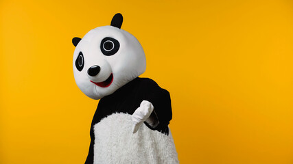 person in panda bear costume showing dislike isolated on yellow.