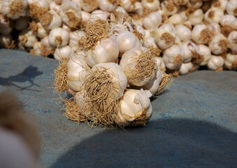 organic garlics at the market