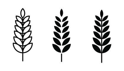 Farm wheat ears icon vector template. color editable on white background.