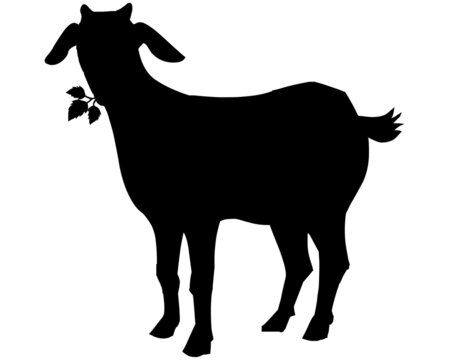 Black silhouette of a goat eating grass or leaves from the ground, logo or label of a goat